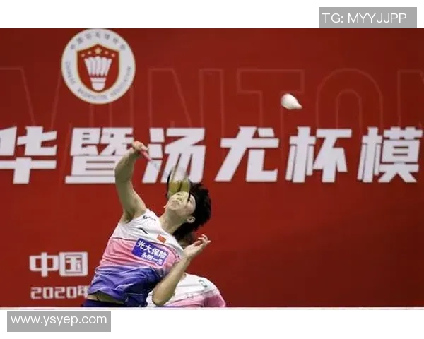 北京羽毛球队杯赛技术分析与表现评估全面解读